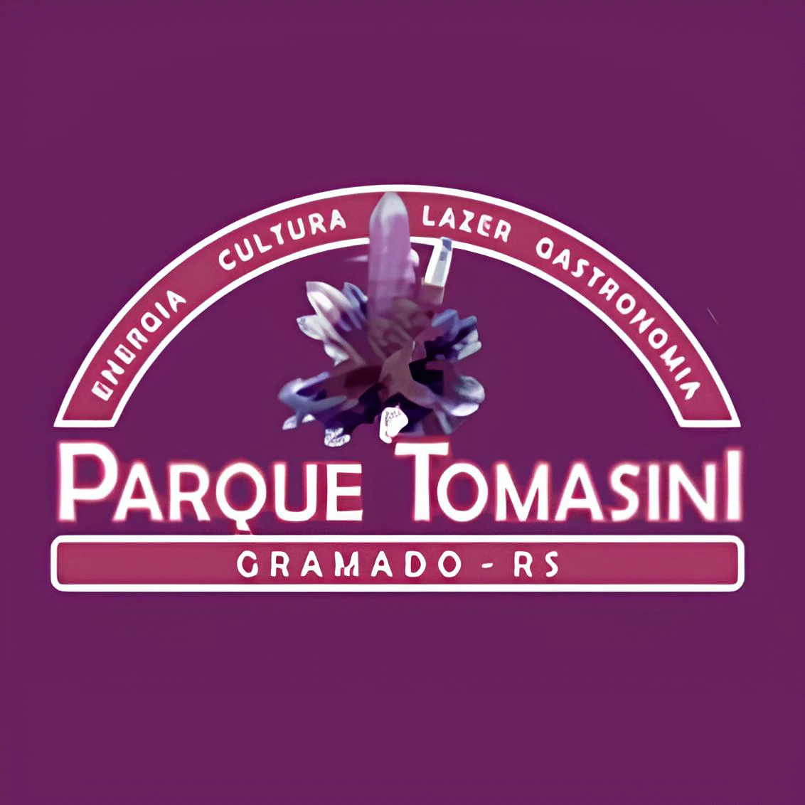 logo-parque-tomasini