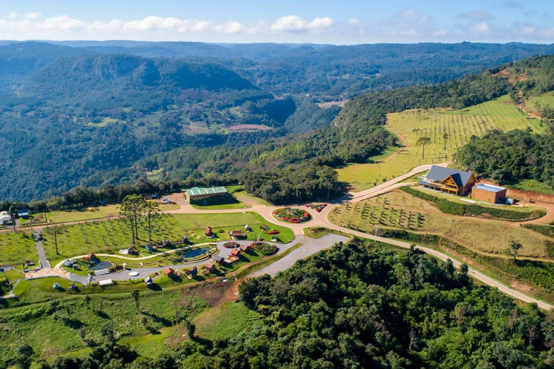 olivas-de-gramado