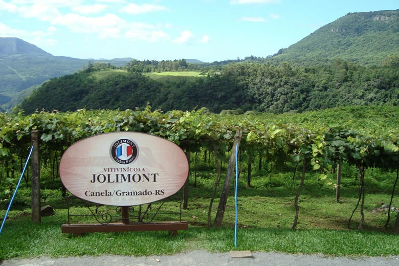 vitivinicola-jolimont